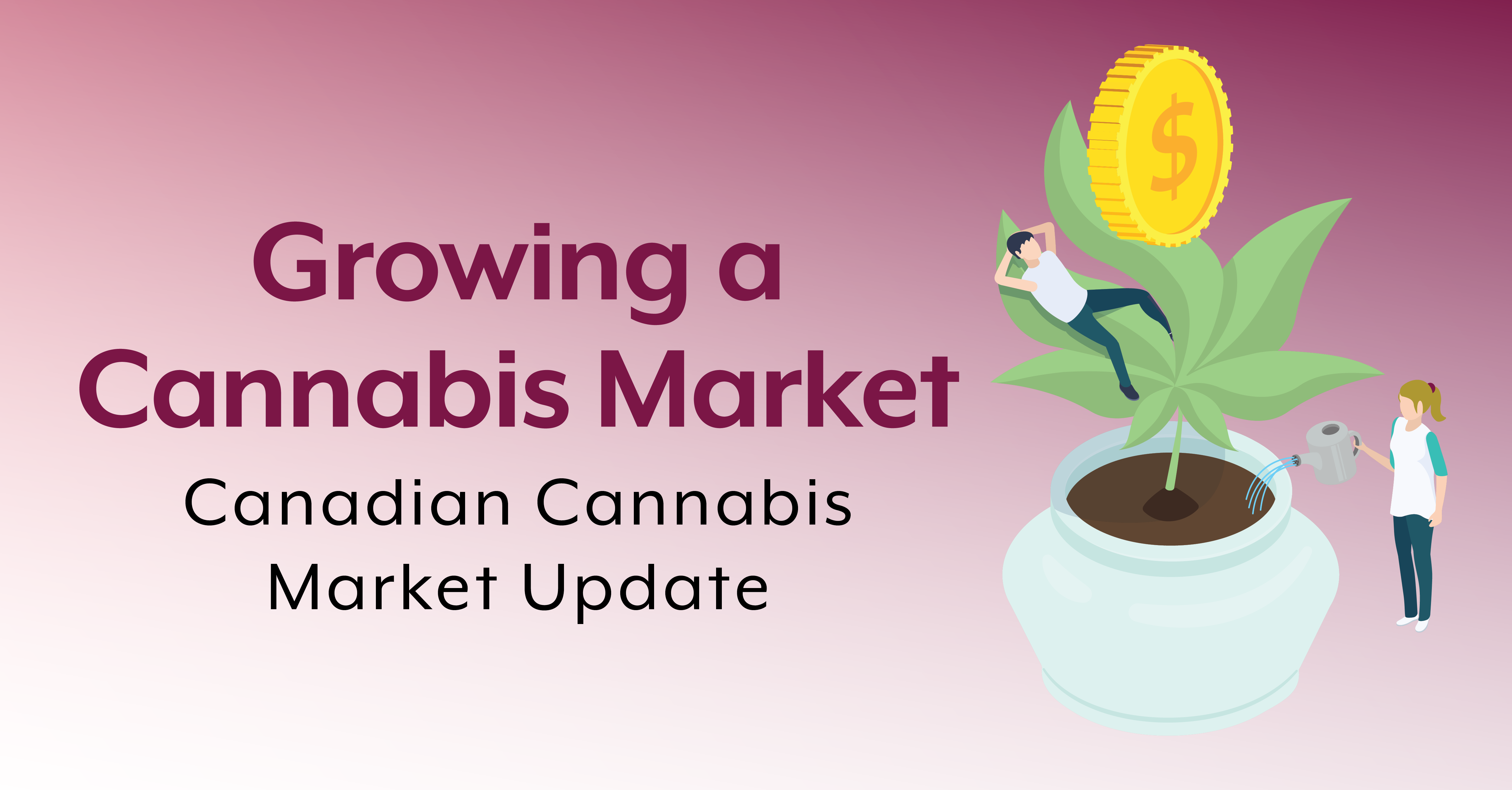Growing a Cannabis Market Canada Update
